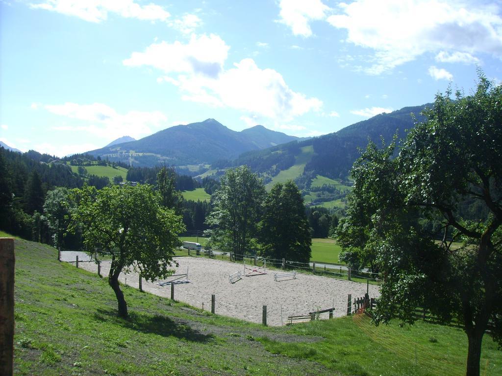 Saumerhof Farm stay Schladming