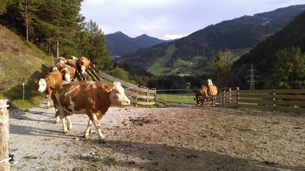 Saumerhof