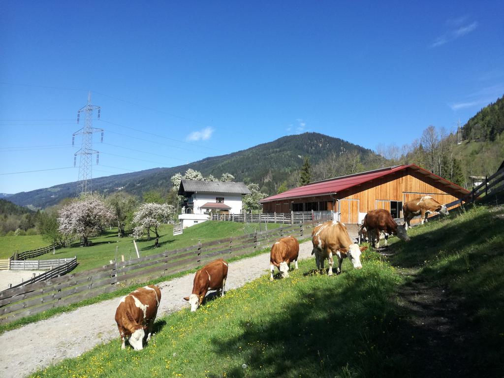 Saumerhof Farm stay *