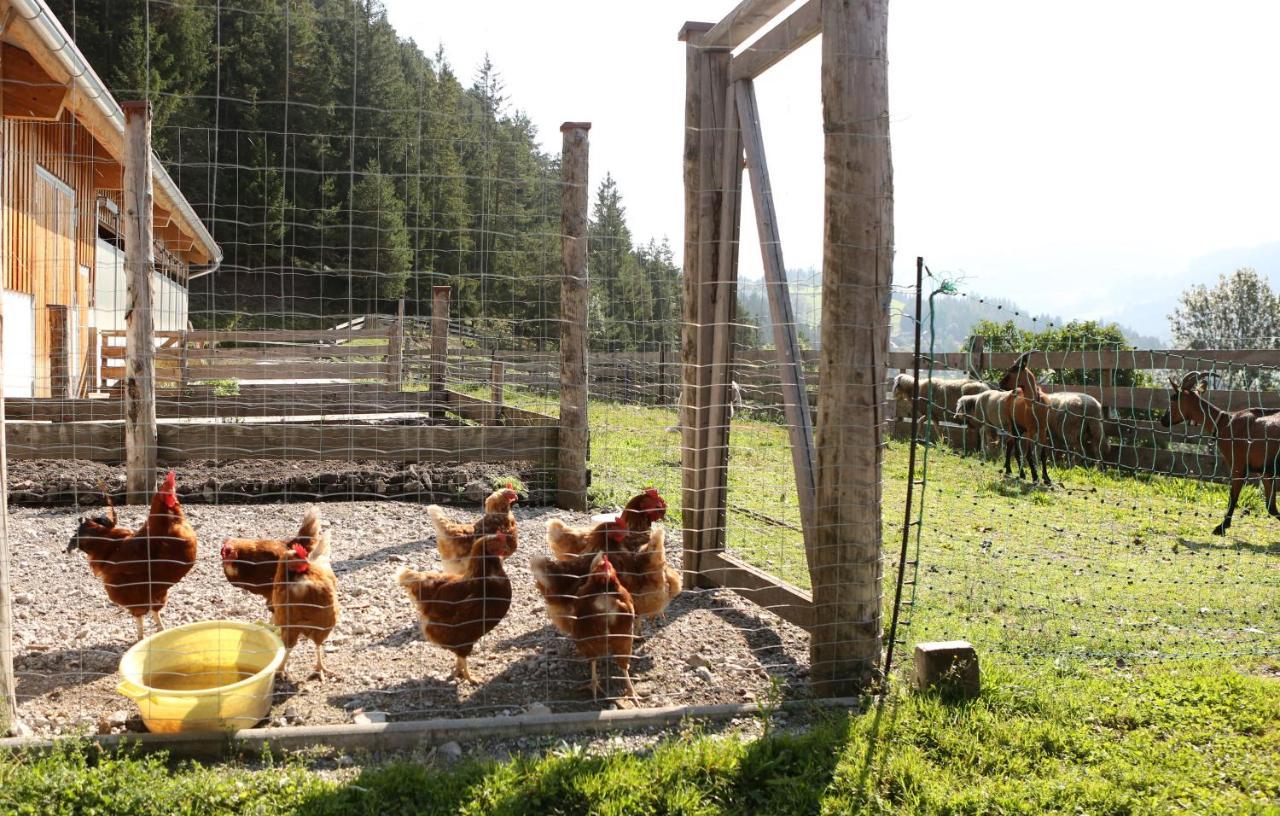 Saumerhof Farm stay *